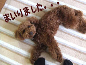 一緒にやるか?