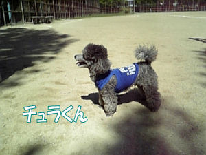 チュラ