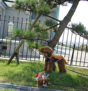 2ワン