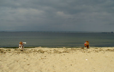 sea