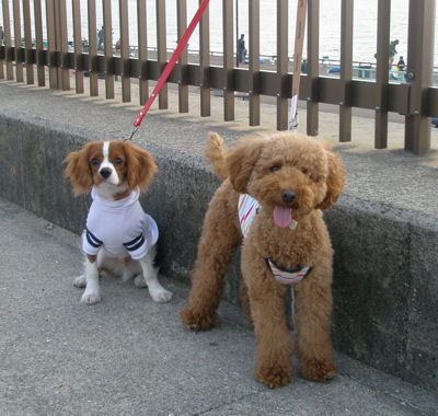2ショット