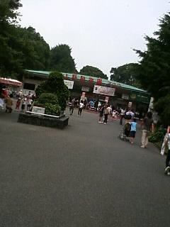 080721_1127~01.JPG