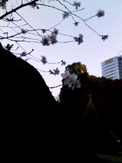 101205_1541~002.jpg