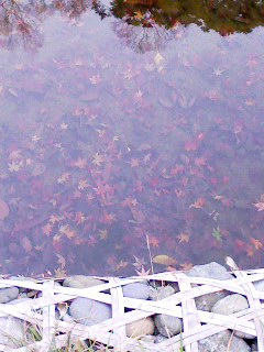101205_1549~002.jpg