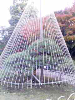 101205_1441~001.jpg