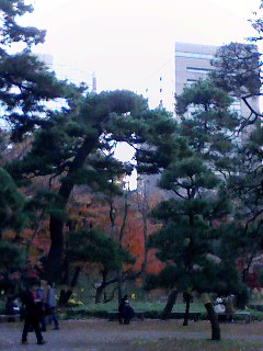 101205_1616~001.jpg