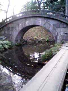 101205_1627~001.jpg