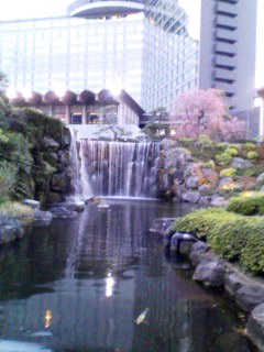 110410_1808~001.jpg