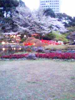 110410_1816~001.jpg