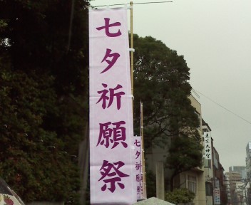 P2.JPG