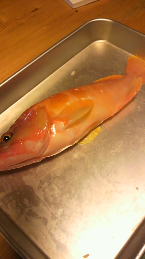 2011010311490001.jpg