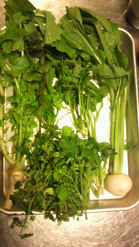 2011010722080000.jpg