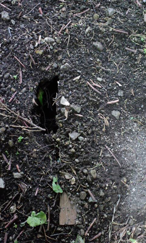 2010.05.31a.jpg