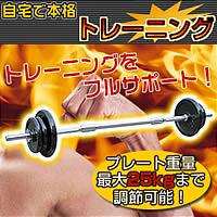 THE BARBELL(ザバーベル)