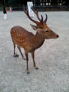 20060812181249.jpg