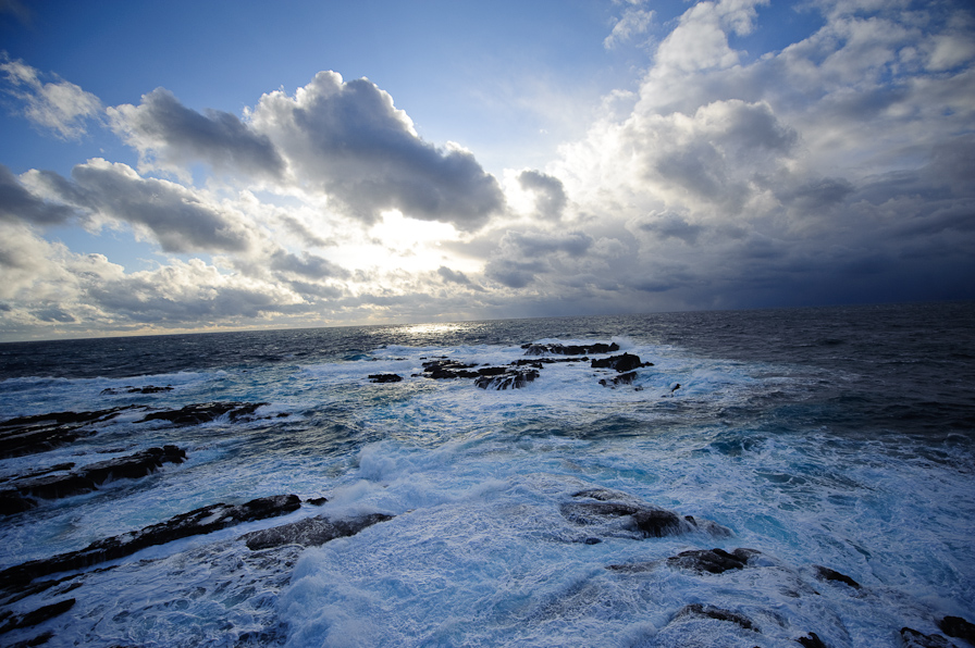 DSC_2411-1.jpg
