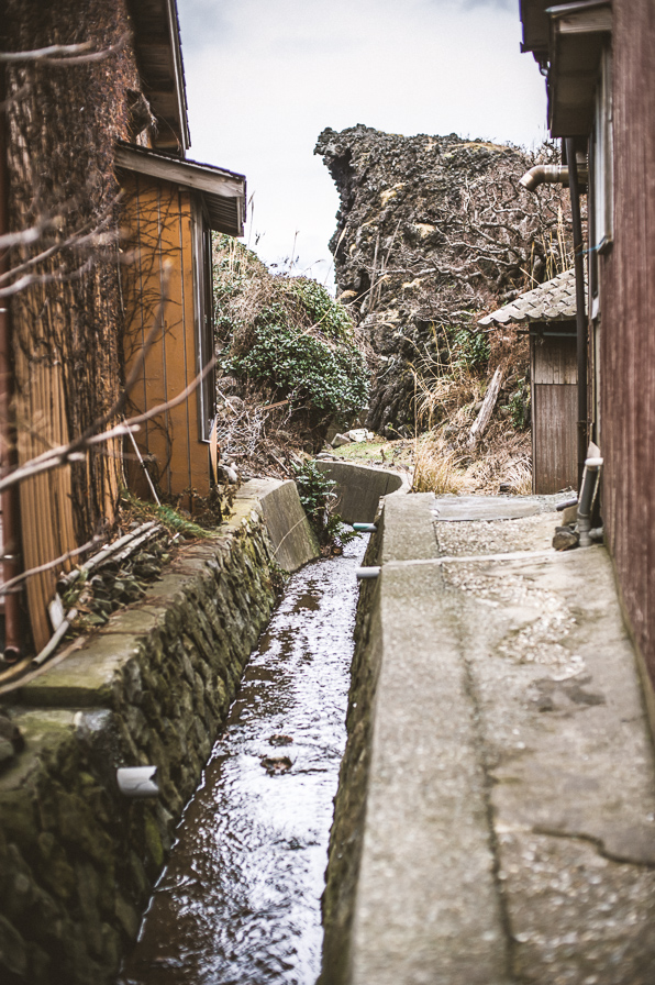 DSC_0690.jpg