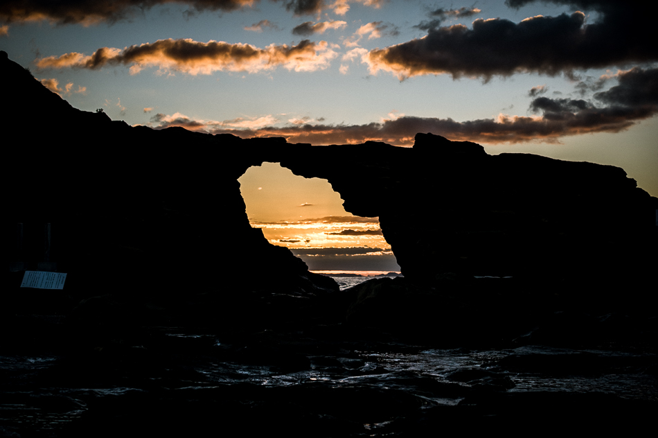 _DSC1659.jpg