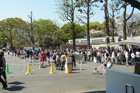 上野動物園混雑 日曜日はどこに行く