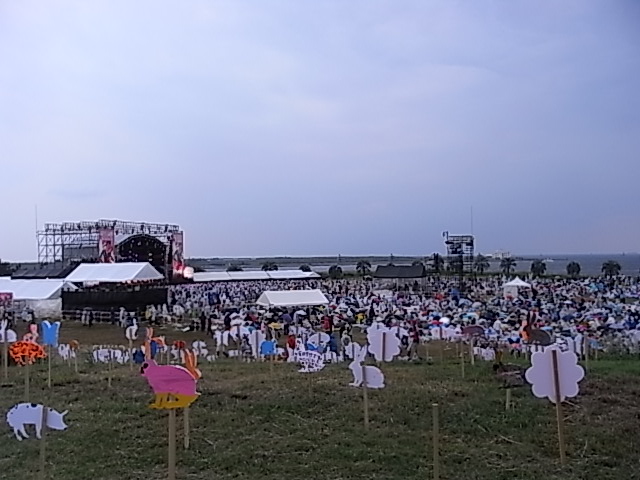 KOYABU SONIC