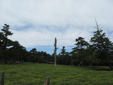 ÂçÂæ¥±¸¶ÀµÌÚ¥ö¸¶