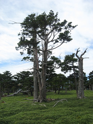 ÂçÂæ¥±¸¶ÀµÌÚ¥ö¸¶