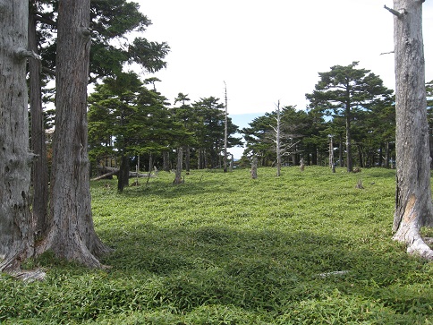 ÂçÂæ¥±¸¶ÀµÌÚ¥ö¸¶