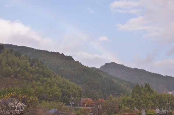 DSC_3792.JPG
