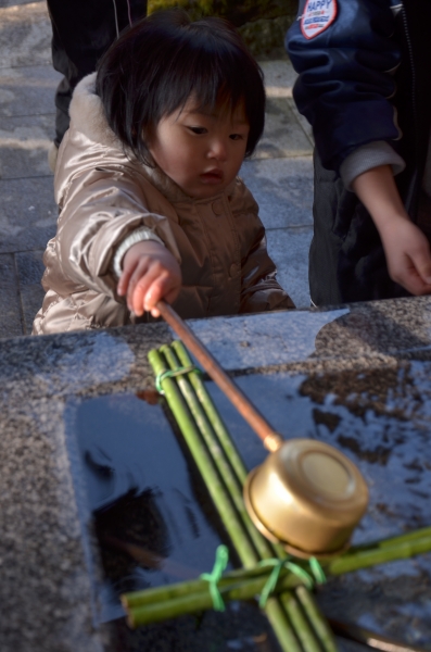 DSC_4293.JPG