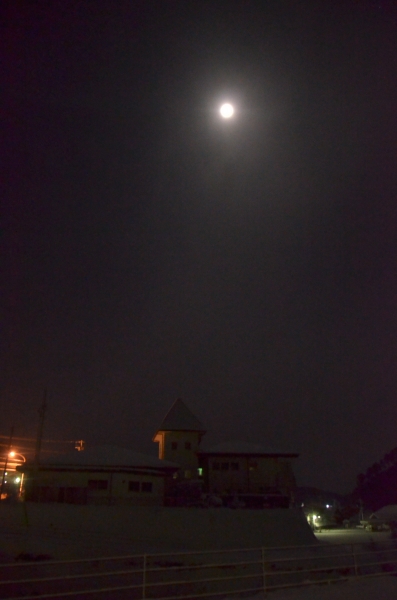 DSC_4840.JPG