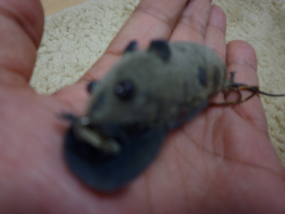 SUPREAM REAL MOUSE 2