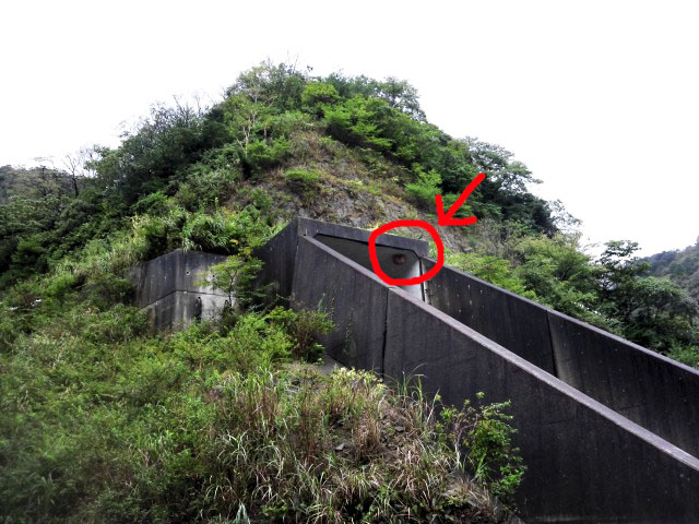 DOWAJACKING AWAJI 9175