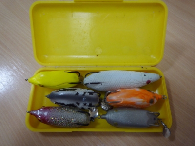 N君 BOX1