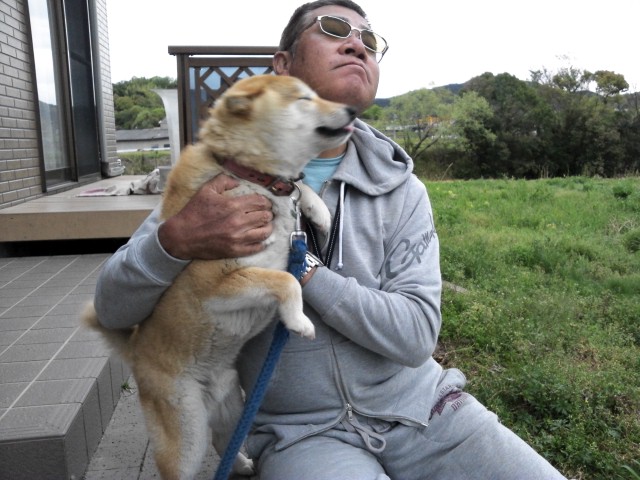 MR.Uんちのトラ