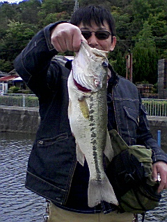 SHINJIS BASS 2