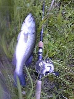 20120515bass1