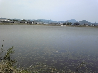 FUKUOKA SECRET 2