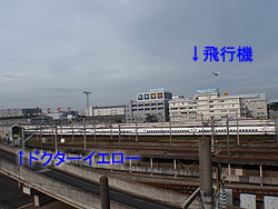 003.jpg