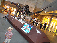 P7300154.jpg