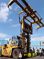 05.jpg