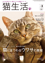 猫生活