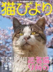 猫びより