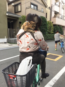 音羽屋さんのミーちゃん