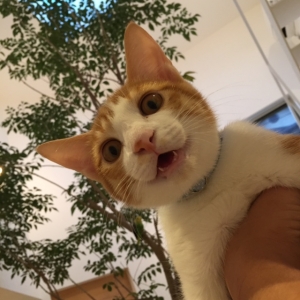 福くん