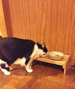 ごはんテーブル