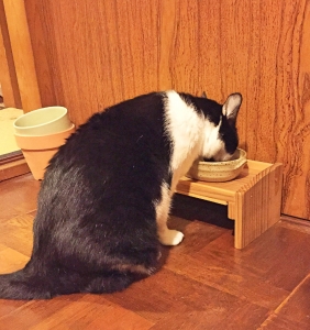 ごはんテーブル