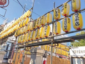 菊まつり