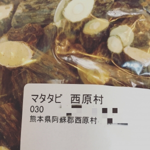 マタタビ