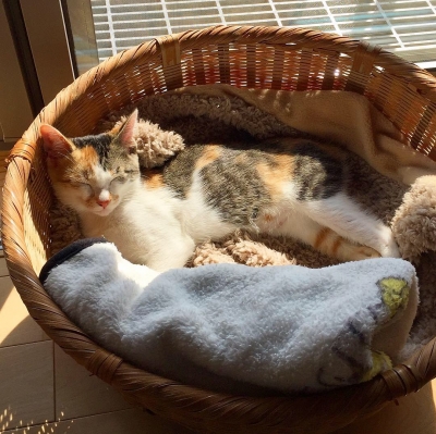 ツルちゃん