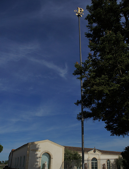 p7.jpg